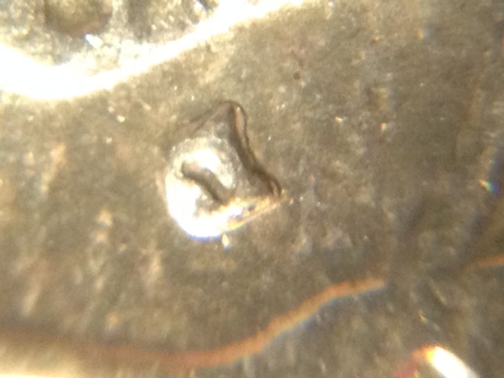 1958-D-Washington-Quarter-Double-D-?