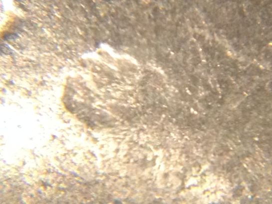 1995-Nickel-With-Cud