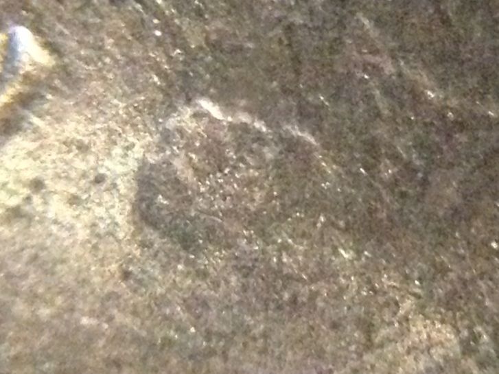 1995-Nickel-With-Cud