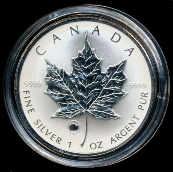 Privy-Silver-Maple-Leaf