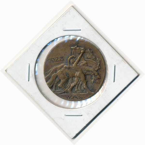 Need-Help-Identifying-This-Swiss-?-Medal