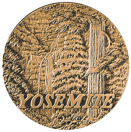 I-Really-Like-Coins-With-A-Bison!