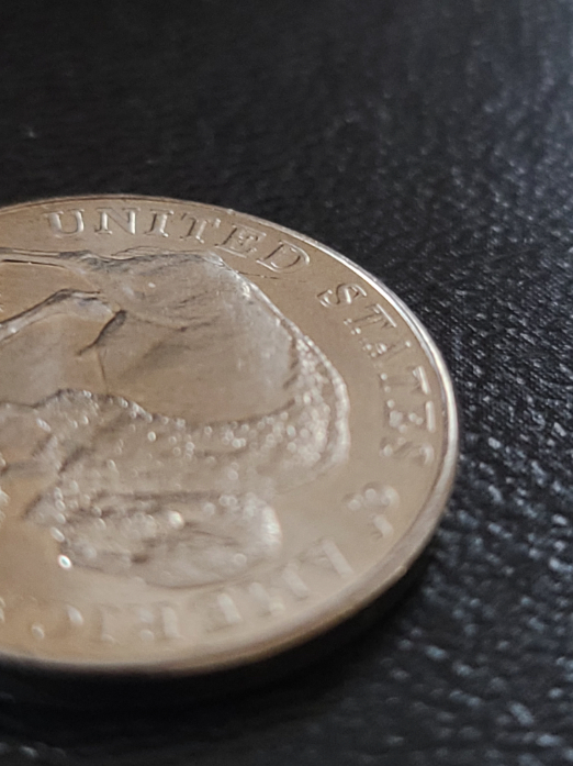 1995-P-Nickel-Possible-Error?