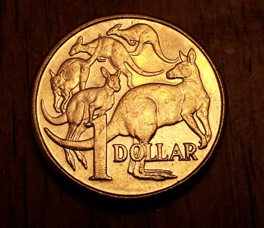 Noodling-Find-Of-The-Week?
