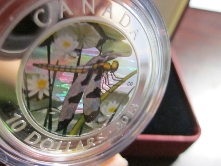 Have-You-Received-Your-12-Spotted-Skimmer?