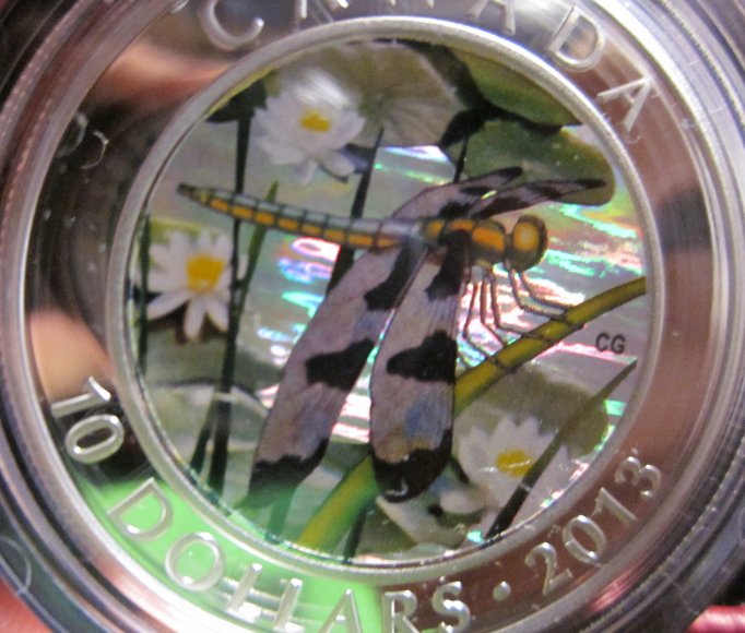 Have-You-Received-Your-12-Spotted-Skimmer?