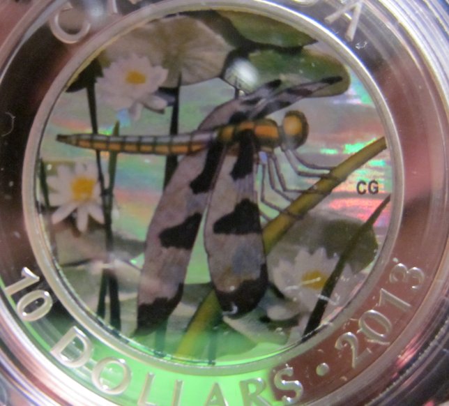 Have-You-Received-Your-12-Spotted-Skimmer?