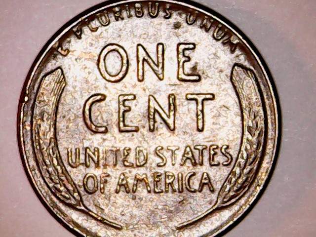 Have-This-1955-That-Looks-Like-It-Might-Be-Cool