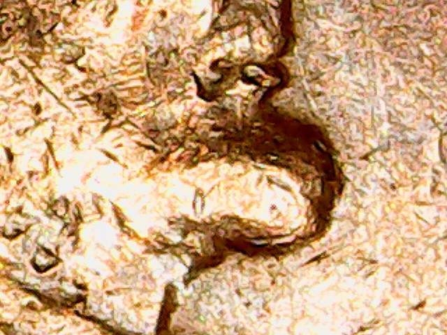 Look-A-1950-D-Penny-Missing-Half-The-0