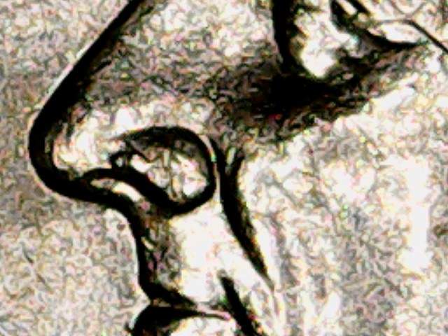 2005-P-Dime-Booger-On-Nose