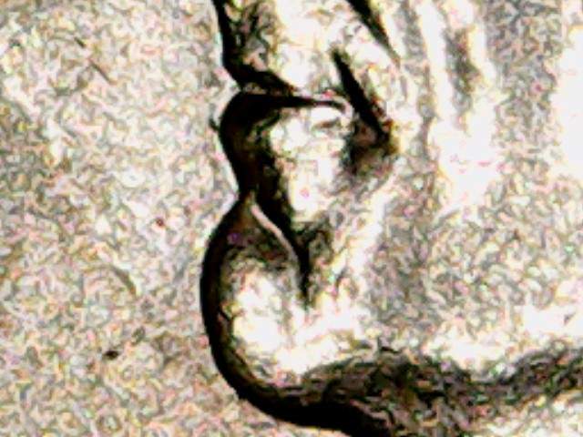 2005-P-Dime-Booger-On-Nose
