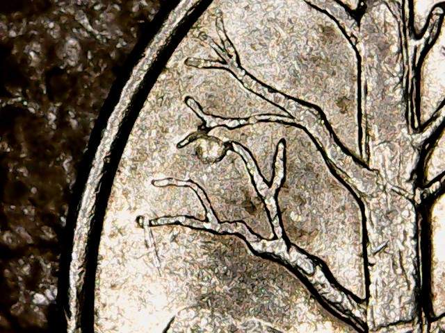 2001-P-Vermont-Apple-Tree-Quarter