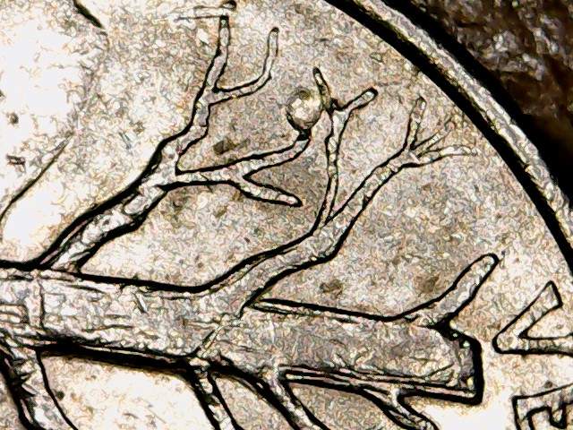 2001-P-Vermont-Apple-Tree-Quarter