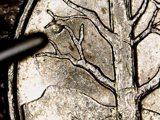 2001-P-Vermont-Apple-Tree-Quarter