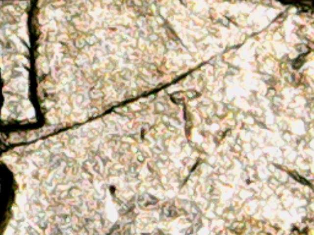 1997-P-Spikehead-Quarter-Have-Alot-Going-On-With-This-One