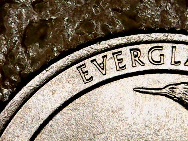 2014--P-Everglades-?-Die-Chip