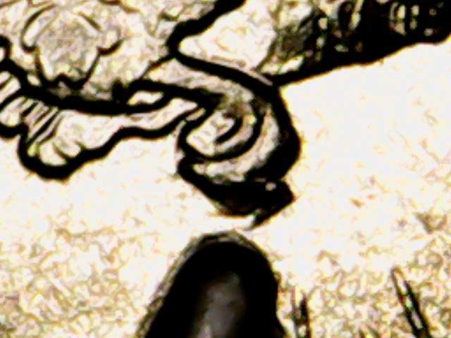 2015-Kisatchie-Quarter-Die-Chip