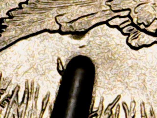 2015-Kisatchie-Quarter-Die-Chip