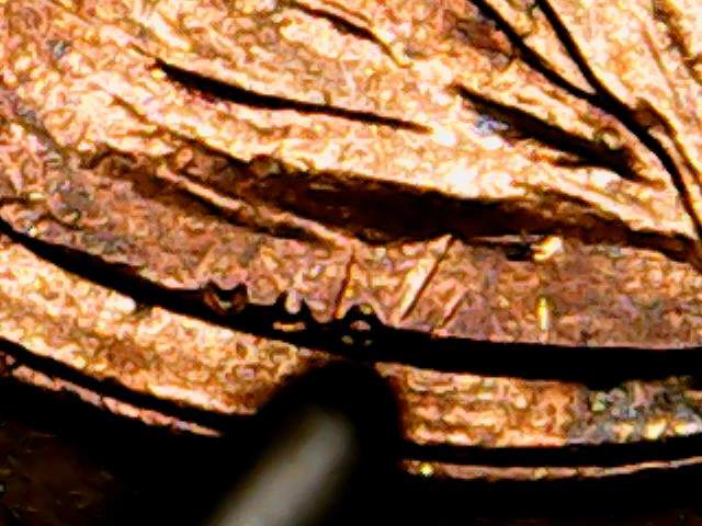 1999--P-LMC-This-Coin-Has-So-Much-Going-On-You-Have-To-Look
