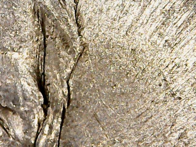 2008-P-Nickel-Here-For-Show-And-Tell-&-Do-Tell