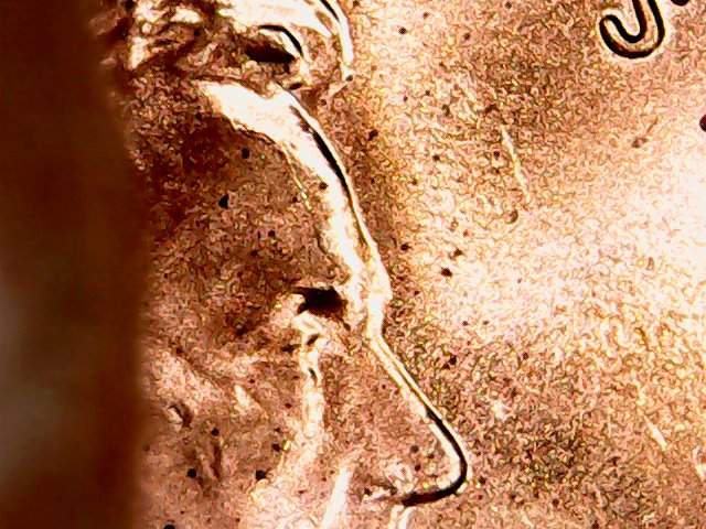 2015-P-LSC-Large-Die-Chip-On-Forehead
