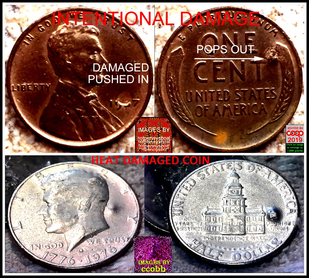 2001-D-North-Carolina-Error?