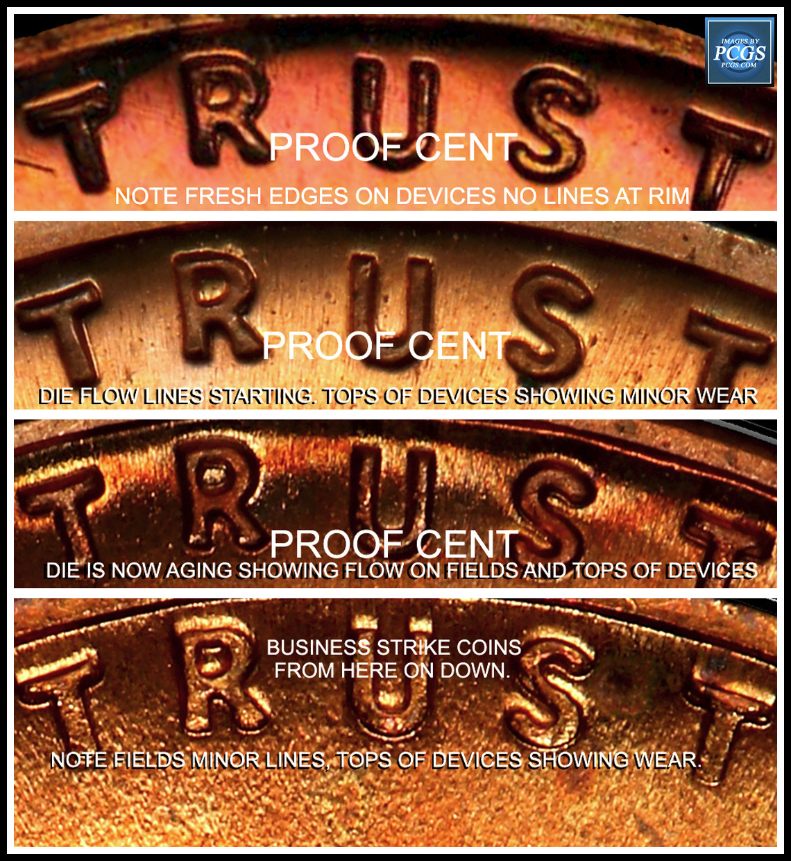 Once-You've-Read-This-Thread,-Your-Ideas-About-Coins-Will-Change.