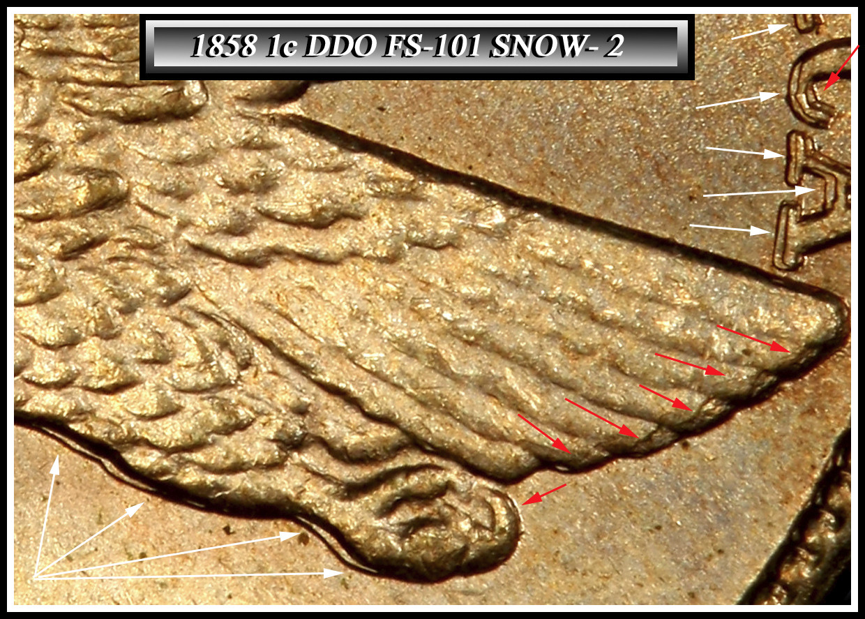 2019-Shield-Cent--DDO-On-Liberty?