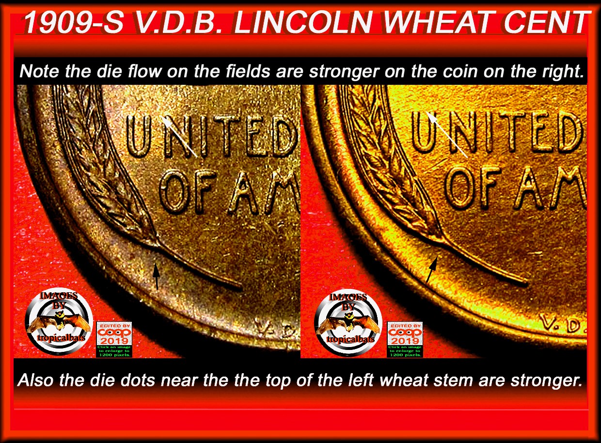 1909-S-VDB-Lincoln-Wheat-Cents---Which-Do-You-Keep?