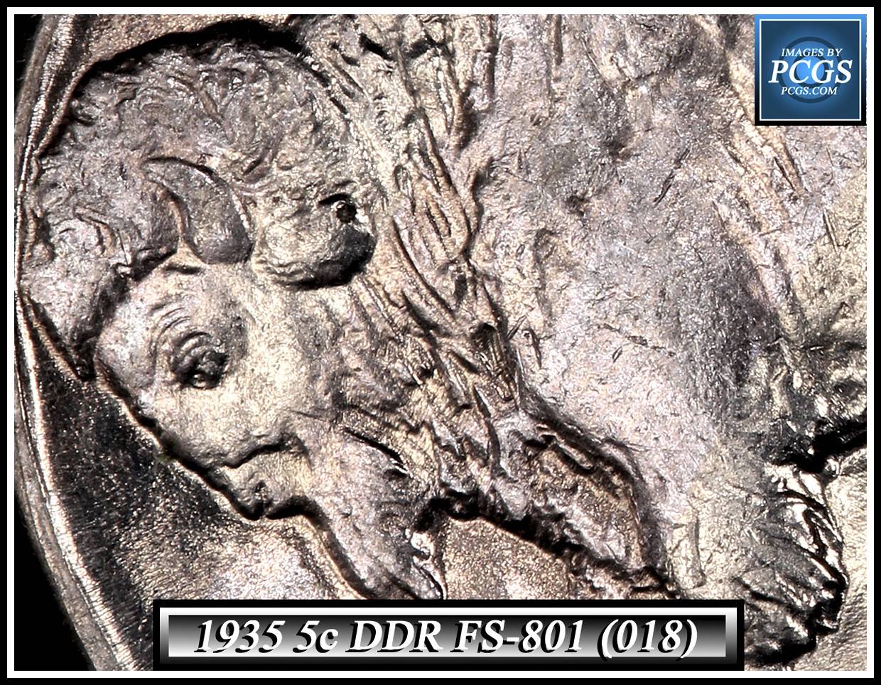 1935-Buffalo-Nickel-DDR?