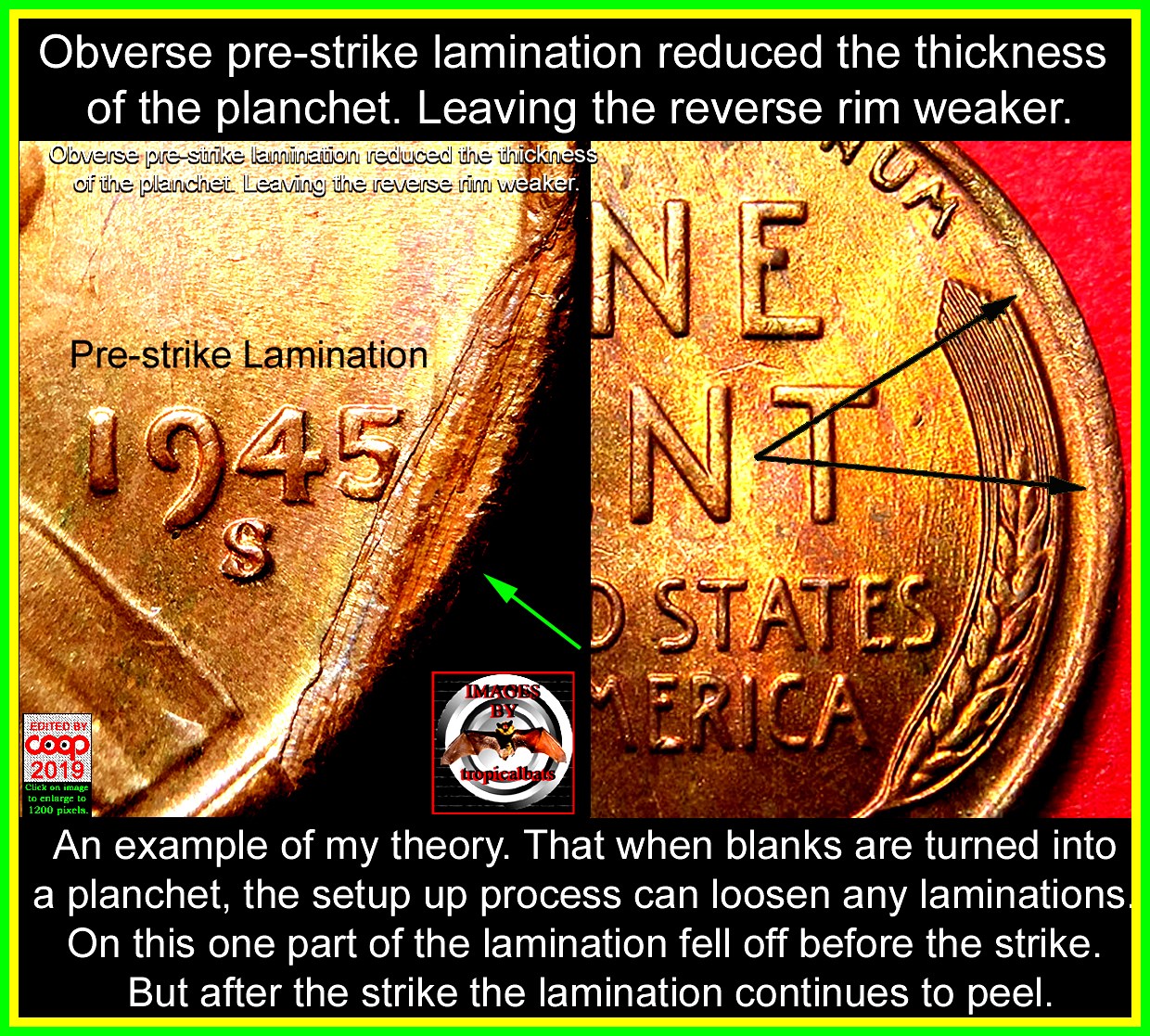1945-S-Lincoln-Wheat-Cent-Doubled-Die-DDO-001---Woody-W/Lamination