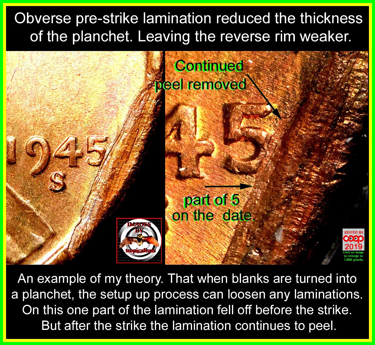 1945-S-Lincoln-Wheat-Cent-Doubled-Die-DDO-001---Woody-W/Lamination