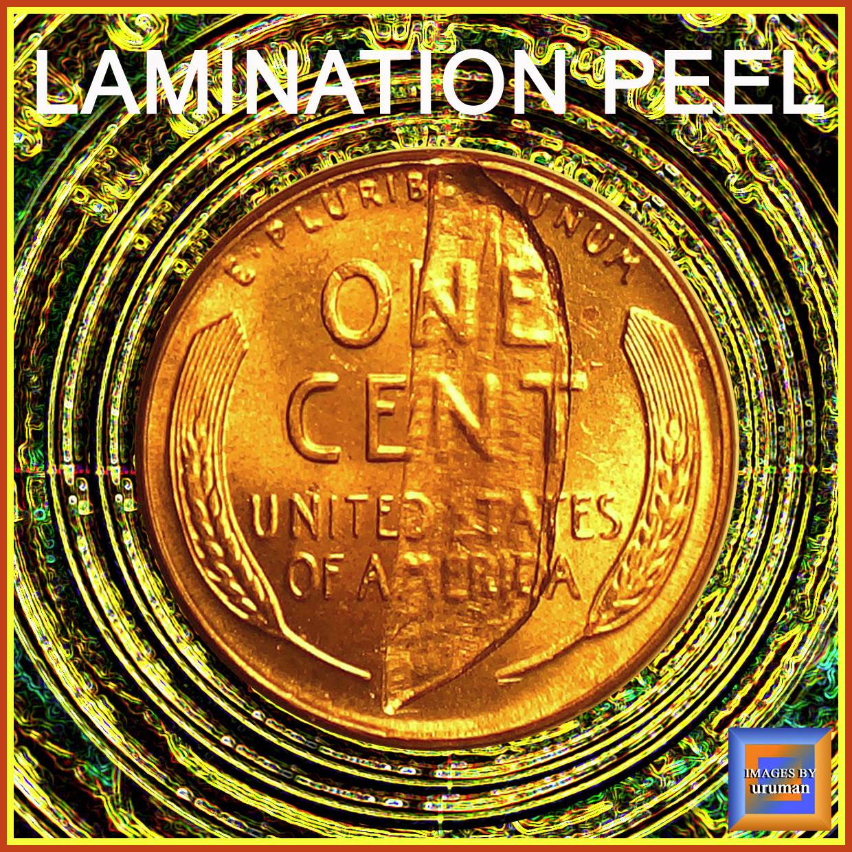 1960-D-Neat-Lamination