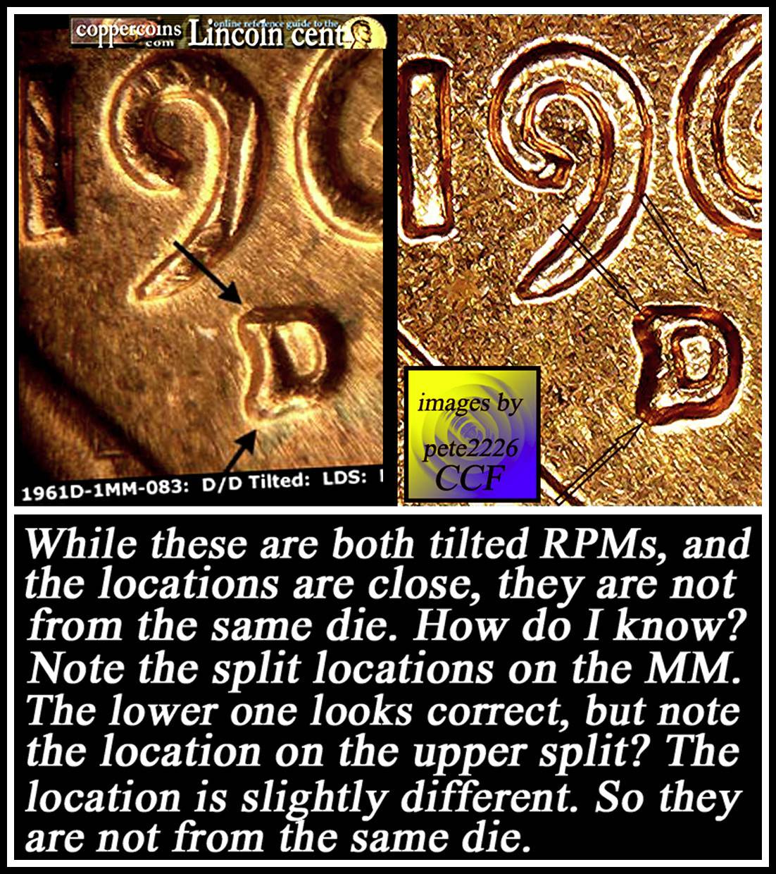 1961-D-LMC-1961-D-1MM-048-What-Do-You-Think?