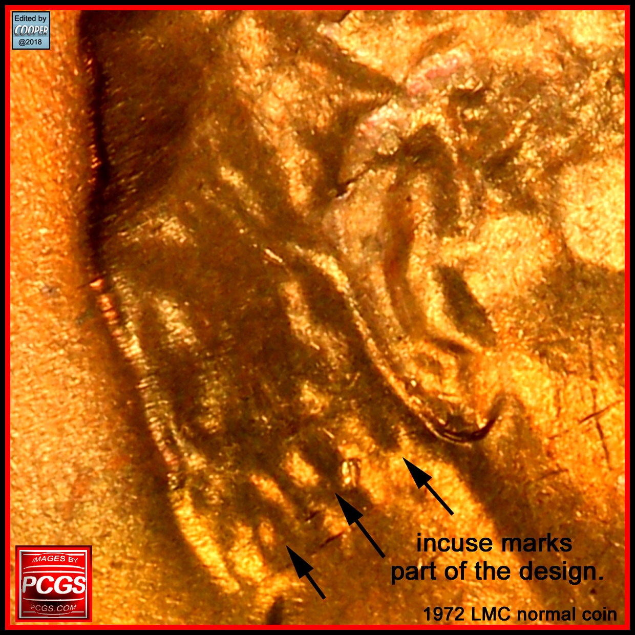 1972-D-LMC.-Look-Like-DD-Ear-Lobe