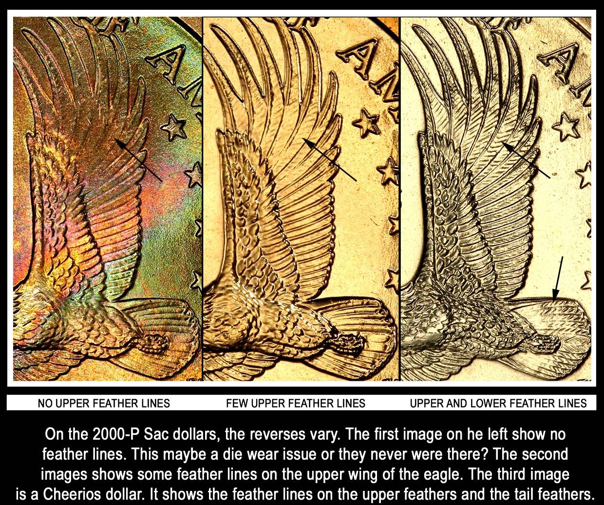 Two-Perfectly-Matched-2000-P-Sacagawea-Dollars.-Even-Down-To-The-Finning.