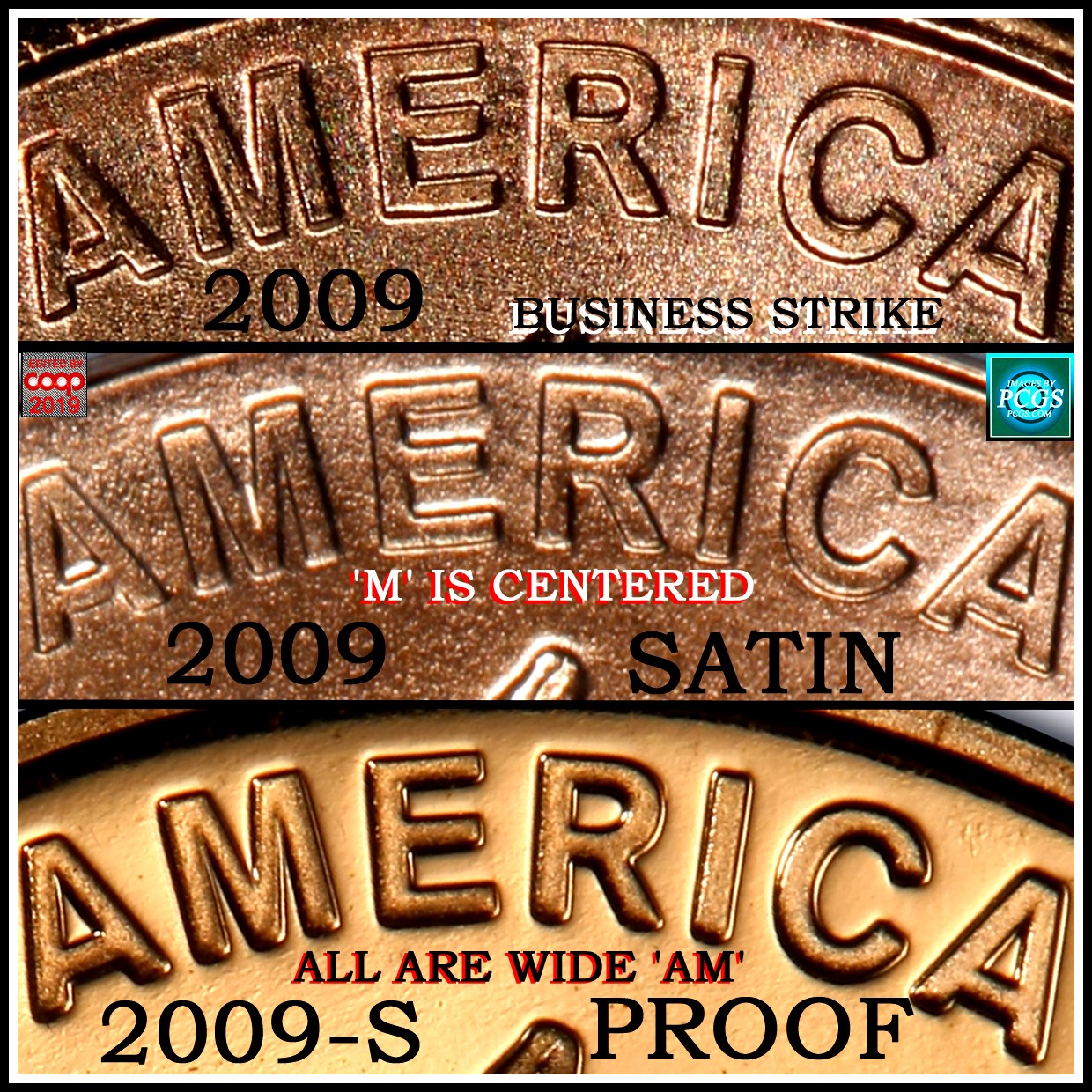 I-Have-Two-2009-Lincoln-Wide-AM-Pennies