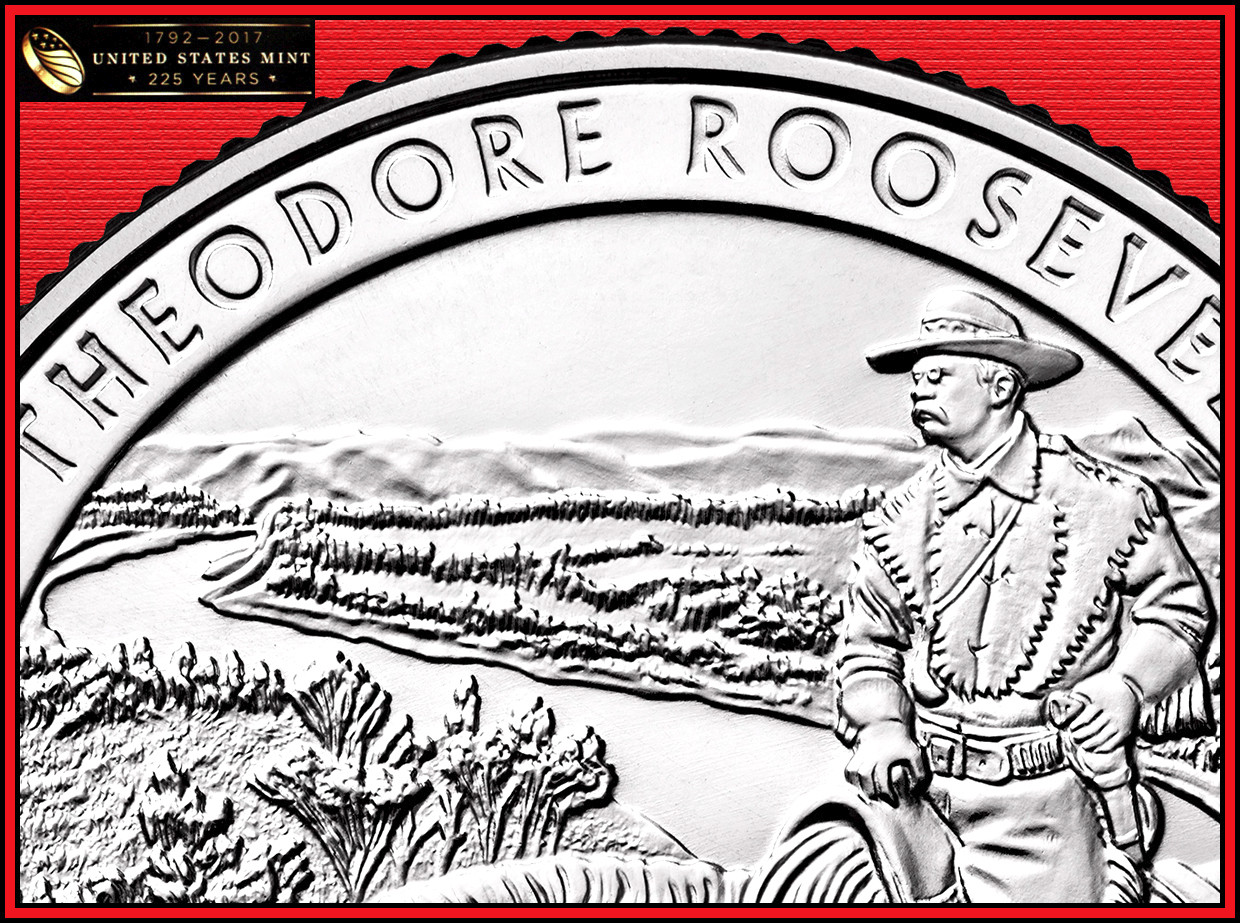 2016-Theodore-Rosevelt-Quarter,-Is-This-A-Form-Of-Die-Wear?