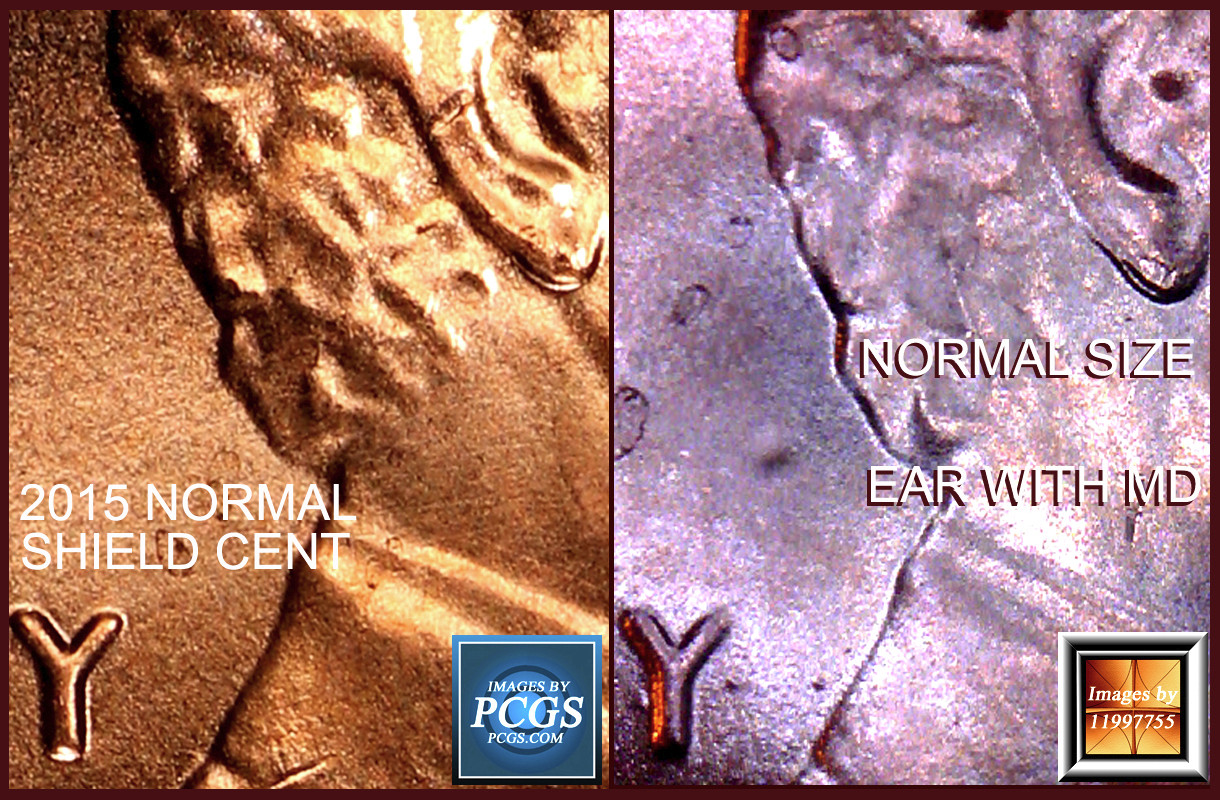 2018-P-Sc-Unusual-Looking-Ear