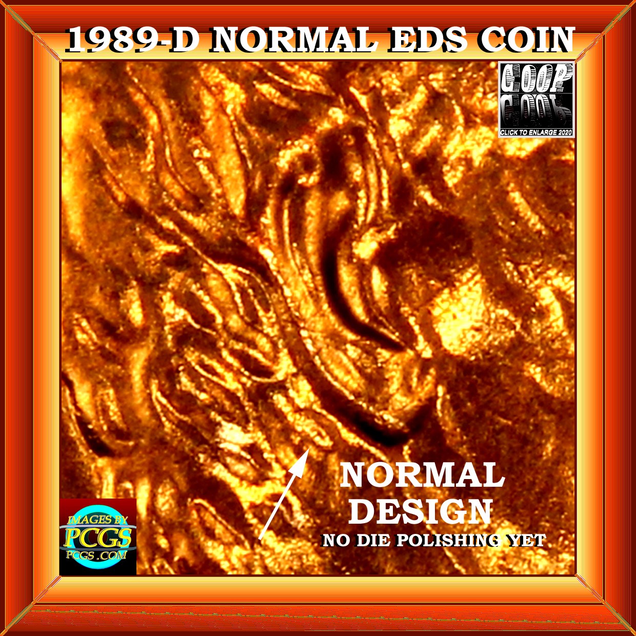 1989-Lincoln-Cent---Is-This-Doubling-On-His-Ear-&-Face?--&-Also-On-The-Reve