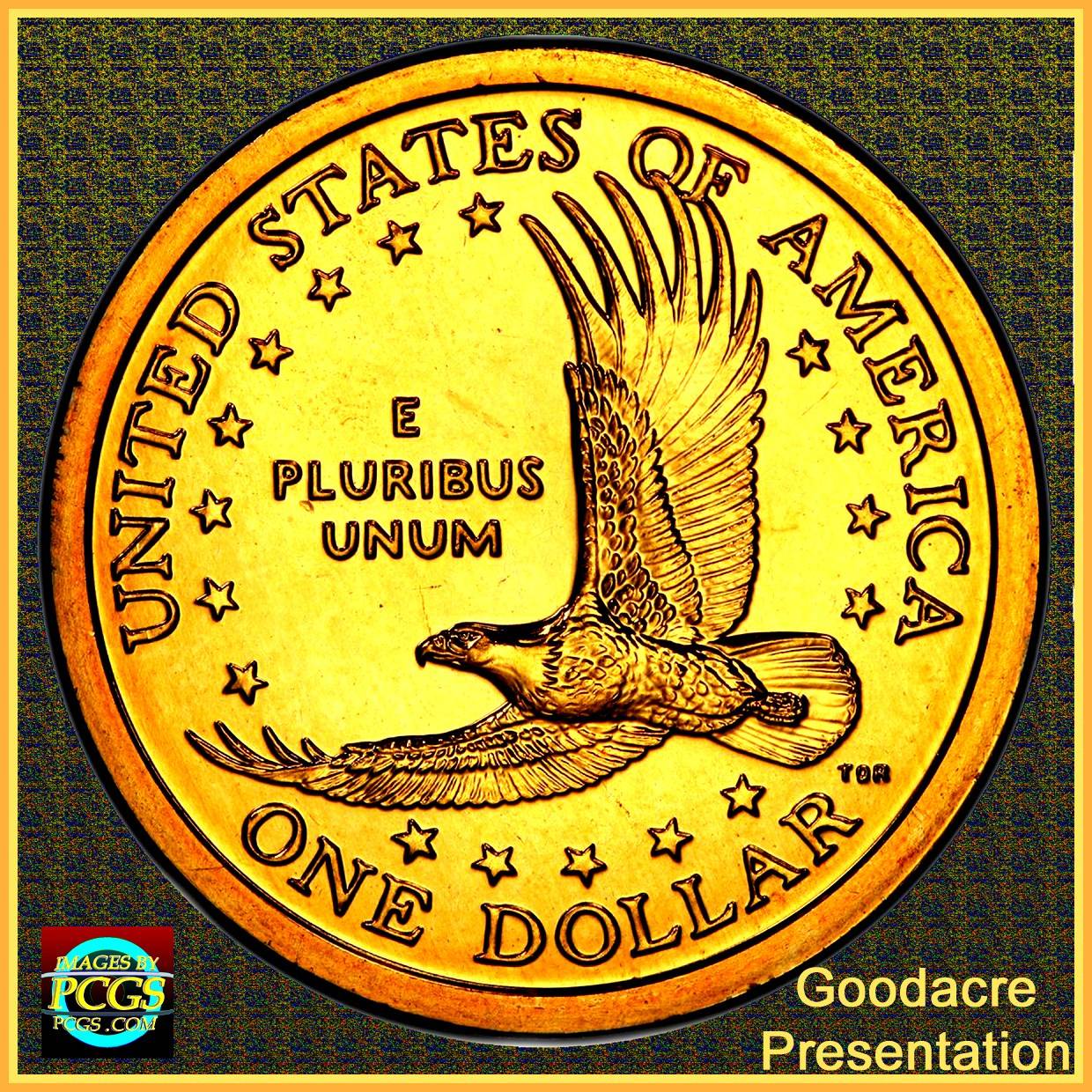 2000-P-Sacagawea-Different-Patina/Experimental-Finish/Copper-Brown-Satin