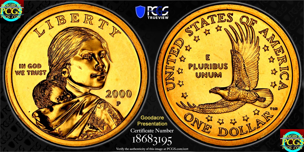 2000-P-Sacagawea-Different-Patina/Experimental-Finish/Copper-Brown-Satin