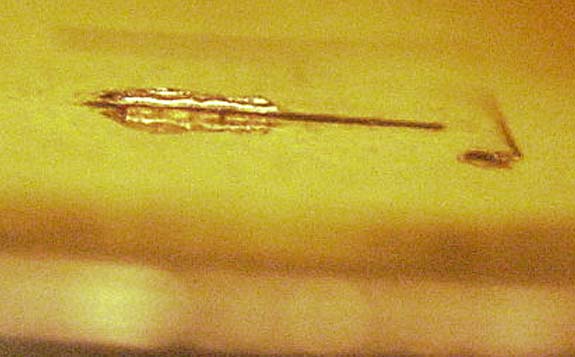 Cool-1955-Lincoln-Wheat-Cent-Die-Chip