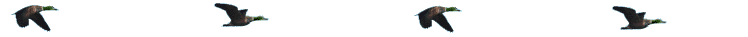 2021-P-Tuskegee-Airmen-Cockpit-Die-Chip
