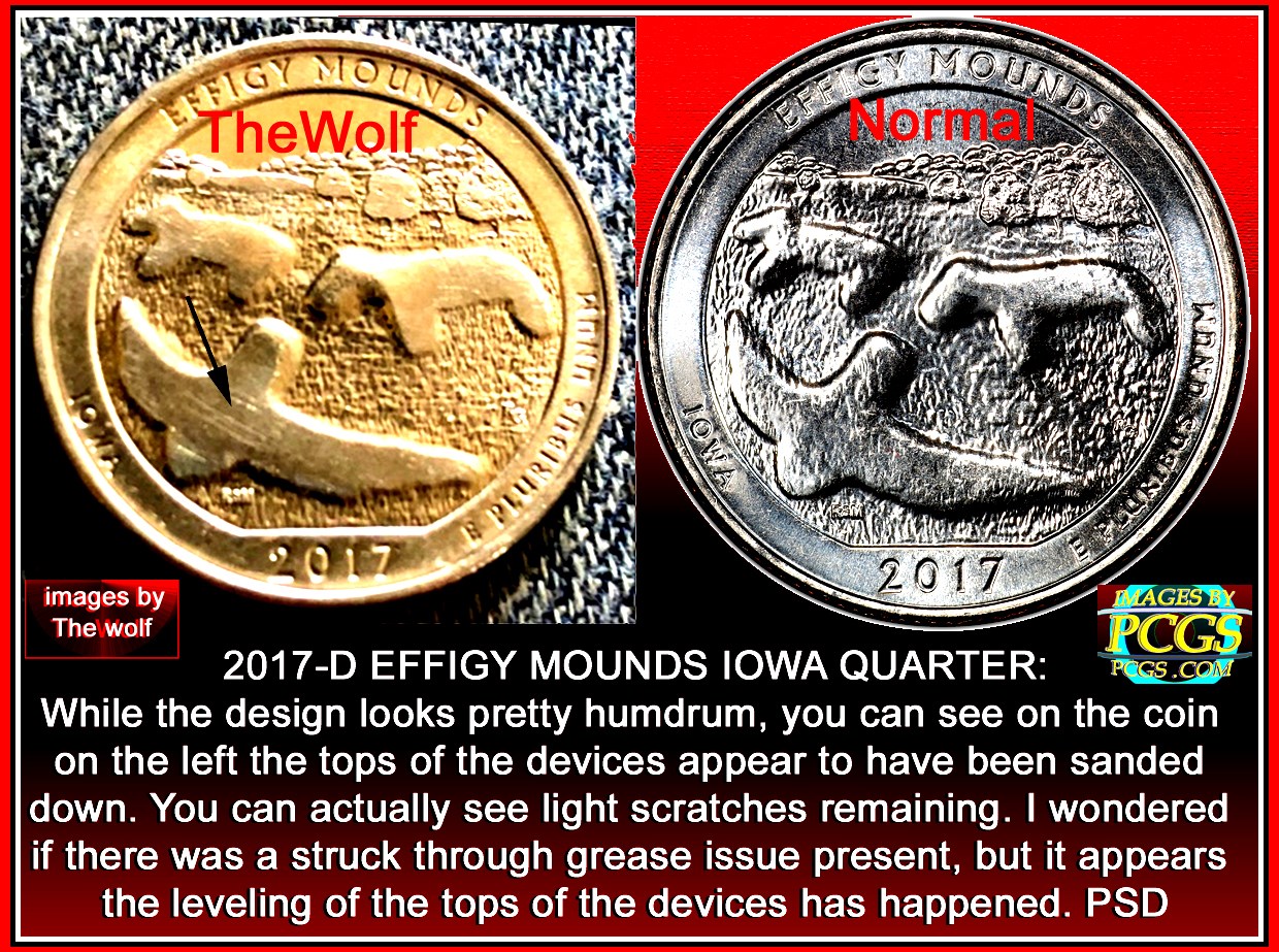 2017-D-.--Effigy-Real-Or-Fake?-