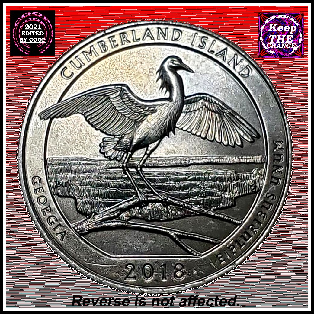 Gnarly-Rim-Cud-On-A-2018-Cumberland-Island-Quarter