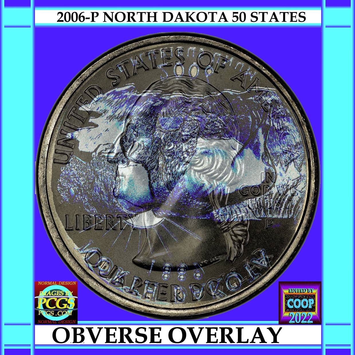Is-This-A-Cud-On-This-2006-Quarter?