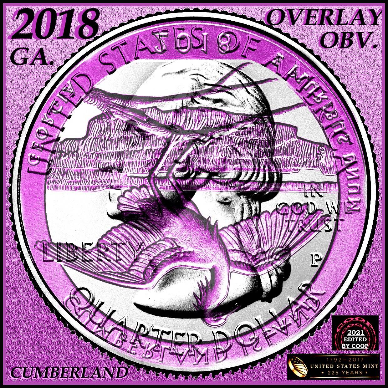 2018-Cumberland-Island--P-Quarter-Error?