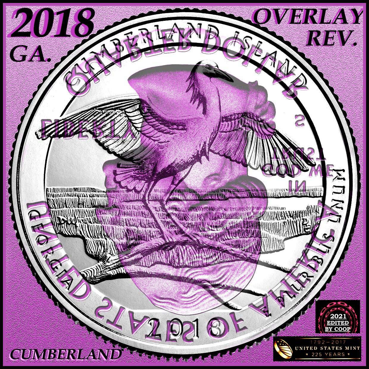 2018-Cumberland-Island--P-Quarter-Error?