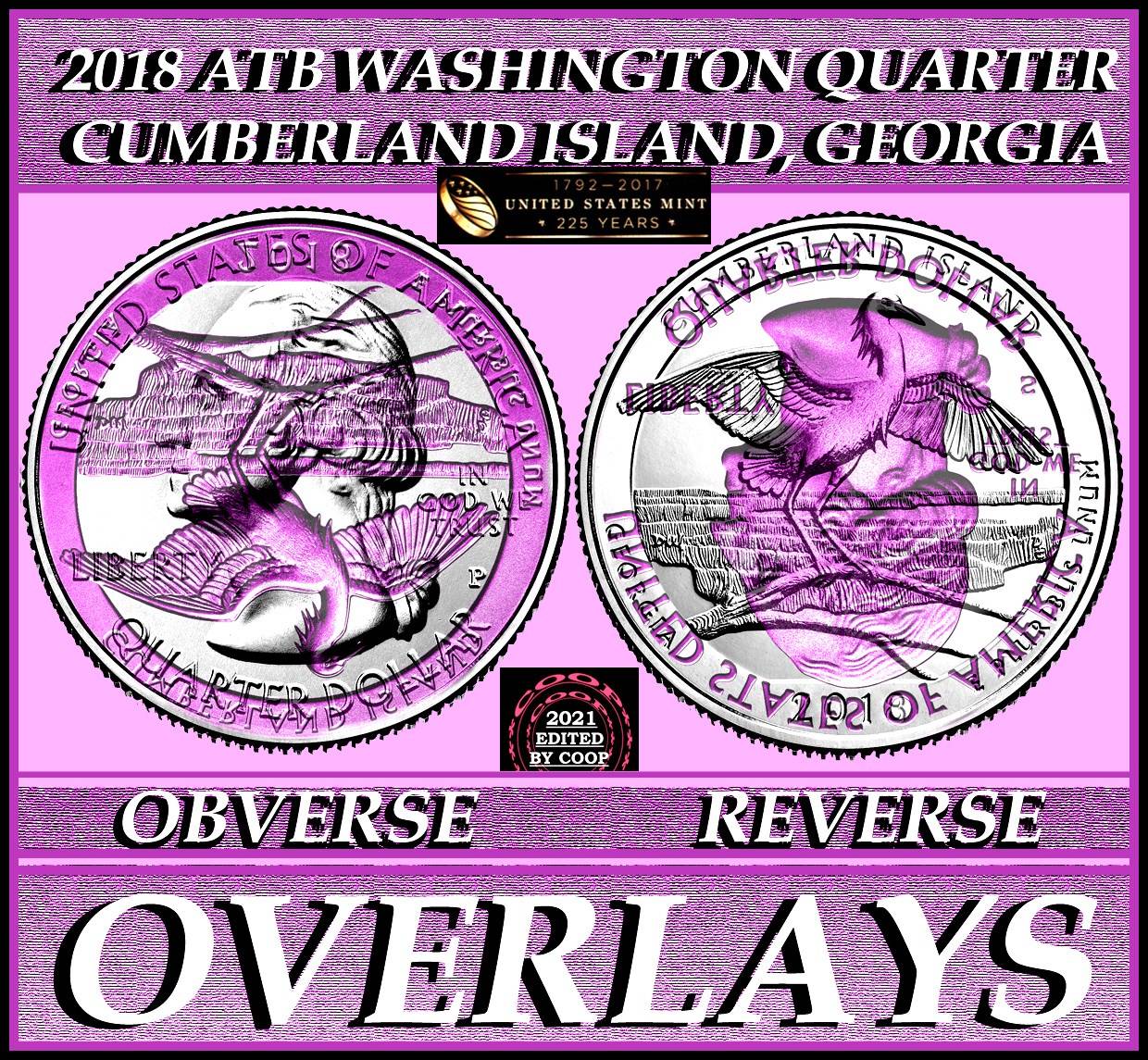 2018-Cumberland-Island--P-Quarter-Error?